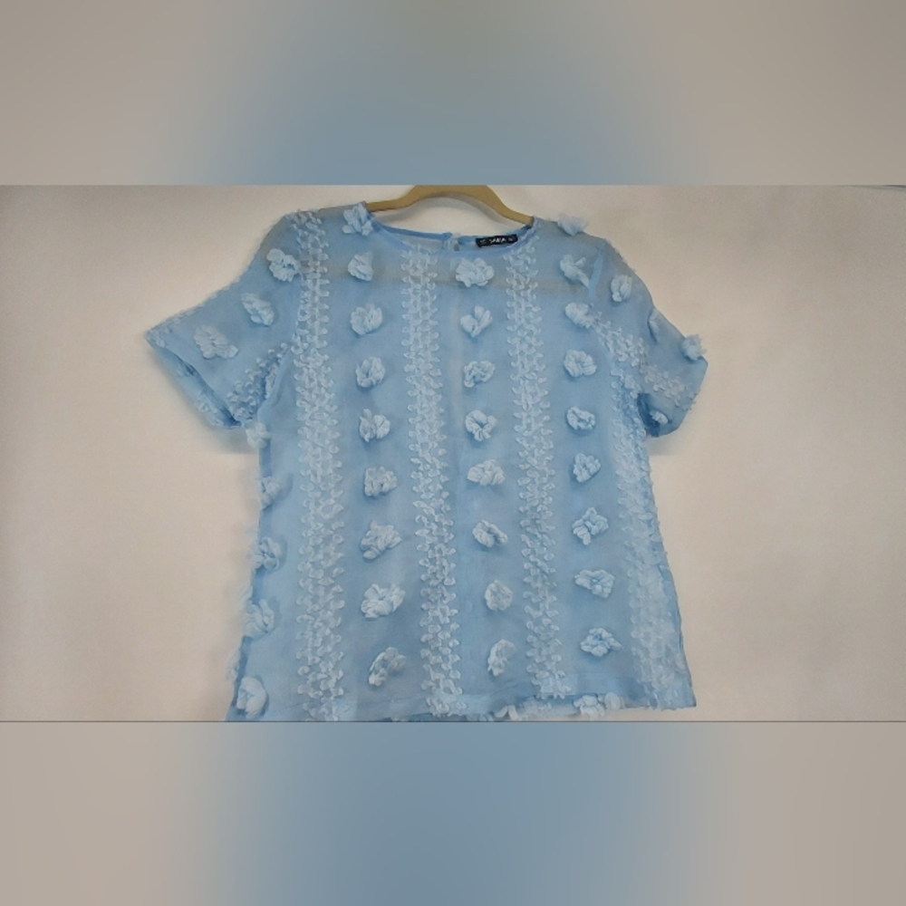 Powder Blue Rosette Sheer Blouse